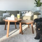 Tips membersihkan karpet