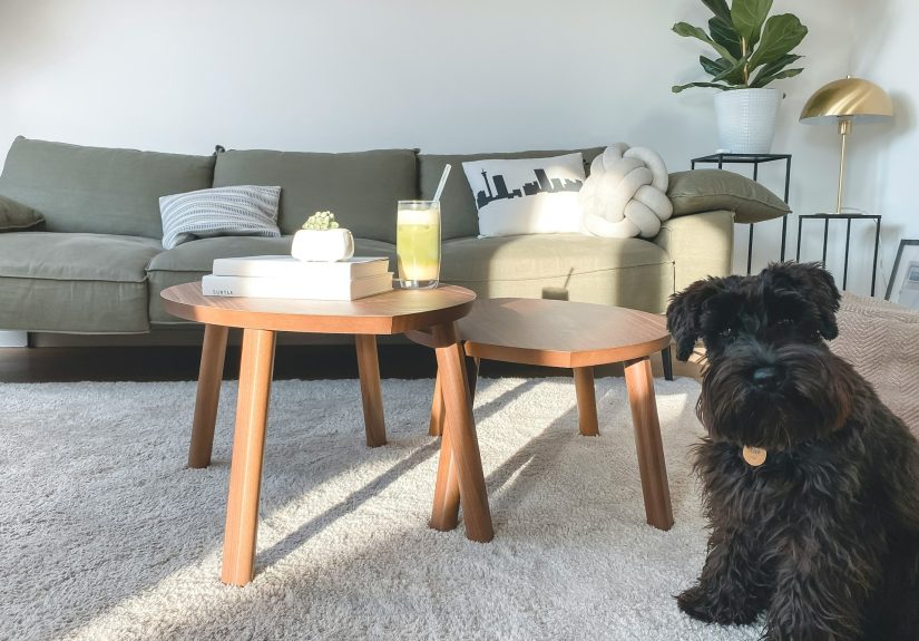 Tips membersihkan karpet